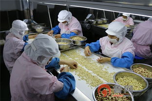 平度市場監(jiān)管局開展食品生產(chǎn)企業(yè)公開評價暨 透明工廠體驗日 活動