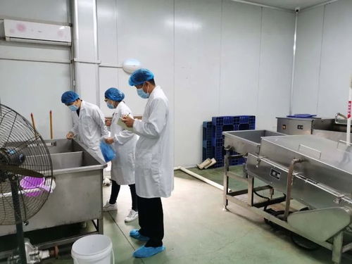 青島膠州市場監管局組織食品生產企業開展食品標簽標識自查