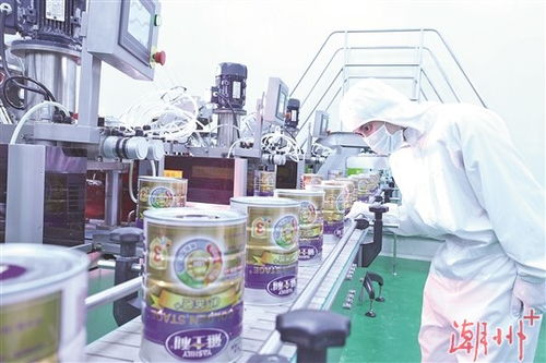 聚焦 六穩(wěn) 六保 推動高質量轉型發(fā)展