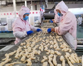 京籍速凍食品生產(chǎn)企業(yè)快速發(fā)展