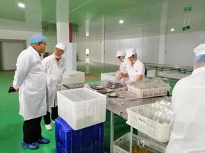 彭水縣市場監管局開展節令食品生產專項檢查