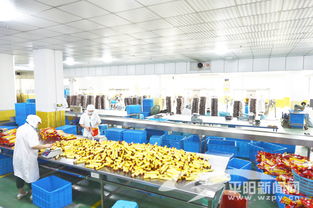 努力建成溫州南部先進制造業(yè)聚集高地