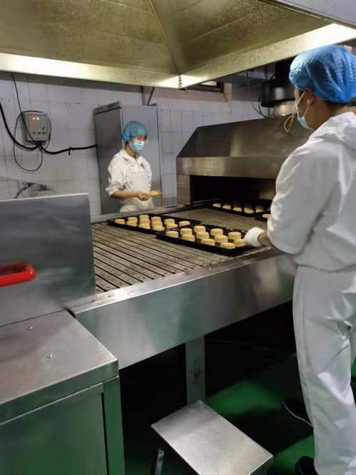 保定全市大檢查 專查食品生產,確保出廠食品質量安全