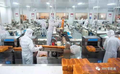 瀏陽這家企業自動化生產線投產,30人干了300人的活