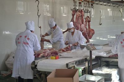科技自然養(yǎng)殖 生產(chǎn)安心羊肉
