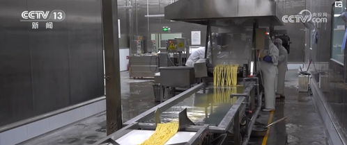 走出實驗室的 新質生產(chǎn)力 開辟未來食品 新賽道