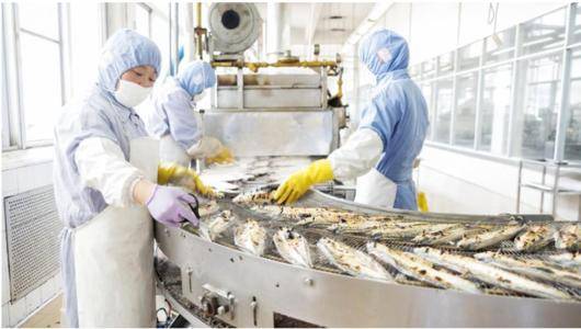 食品廠除塵系統的除塵方案