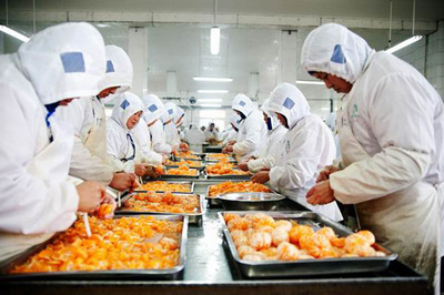 桔子分瓣信息|寧波秀可食品有限公司