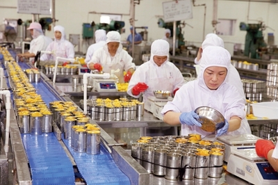 安徽省淮北市鳳凰山食品工業園貝寶食品公司全力投入黃桃罐頭加工生產