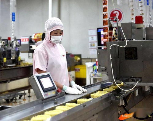 高清組圖 河北隆堯 著力打造北方食品產業聚集區