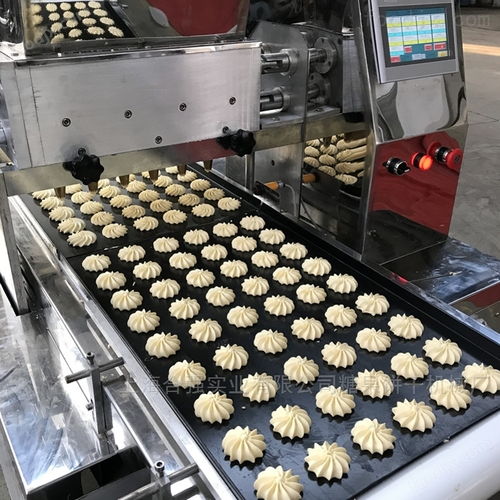 自動曲奇蛋糕溶豆共用機 休閑食品成型設備