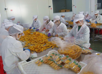 龍海市正豐食品打造名牌產品