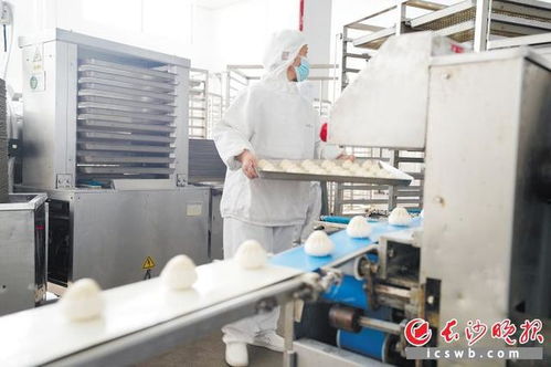 自動化生產線上 長龍 游動 長沙食品企業開足馬力忙生產