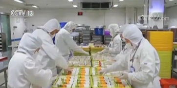 春運航空食品安全 從制作到食用 控制在24小時內