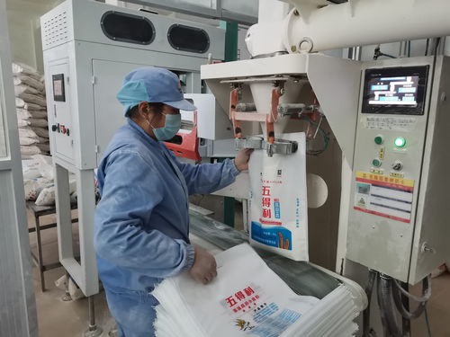 這100天,載入史冊