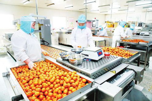 磐石市 龍頭企業 金融 貧困村 等聯動模式實現貧困戶全面增收產業覆蓋