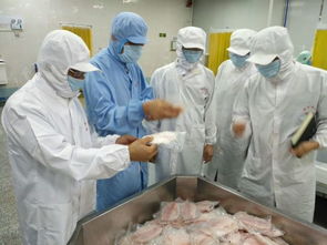 海口食藥監局節后保持力度不減,督導檢查食品生產企業