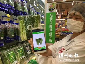 筑美科技為農貿市場打造全新的食品安全系統