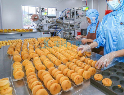 南京gmp食品車間凈化公司電話-清陽工程