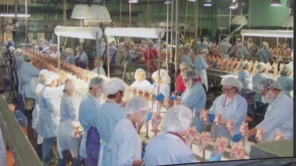 為什么美國食品加工廠會成為疫情重災(zāi)區(qū)?