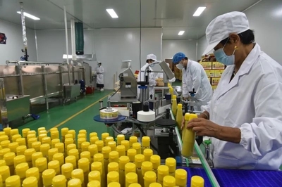 上蔡邵店鎮姜香臣姜汁廠:加班加點備貨 讓醋香飄揚農加工投洽會