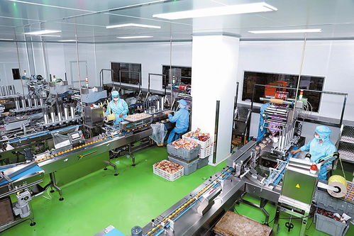 訂單熱 工人忙 紅塔食品中秋節前產銷兩旺