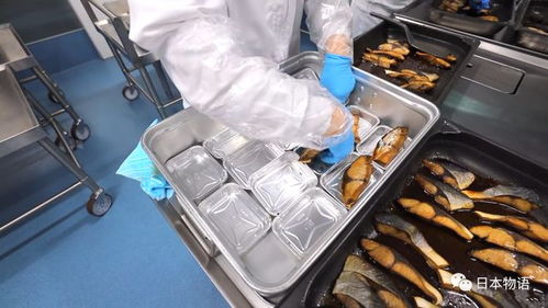 日本的孩子不吃盒飯,來看看日本的食品加工廠,是如何制作中小學生午餐的