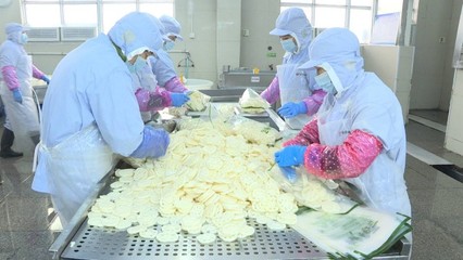 泰州新增兩家出口農產品示范基地