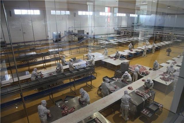從牧場到餐桌 額爾敦羊業打造安全食品生產供應鏈