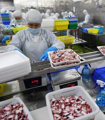 每日一詞∣推動外貿保穩提質ensure steady and high-quality growth in foreign trade