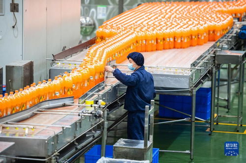 新華全媒 丨湖南寧鄉 食品企業加工忙