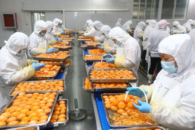安徽淮北:延伸果蔬加工產業鏈 出口罐頭生產忙