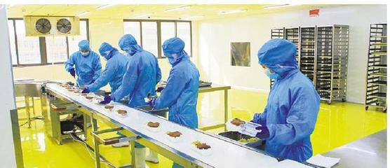 李欽輝調研總部型企業疫情防控和復工復產情況