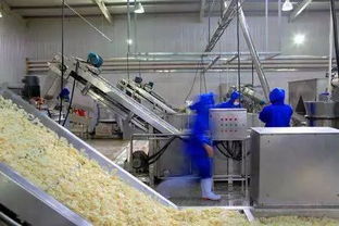 食品加工 生產企業消防安全防范措施