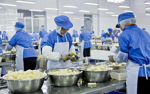 收藏版 食品廠藥品生產車間墻面材料對比大匯總