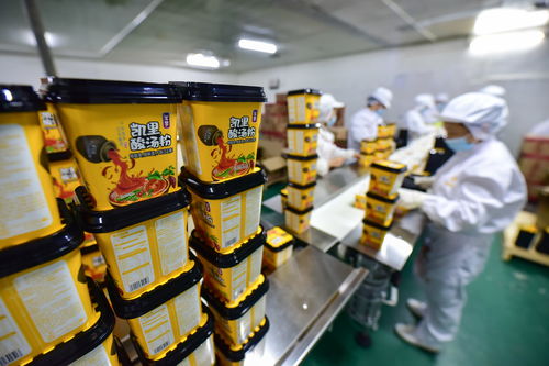 貴州麻江 食品企業創新發展促就業助增收