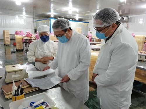 守護舌尖安全,新泰對41家冷鏈食品生產企業進行專項檢查