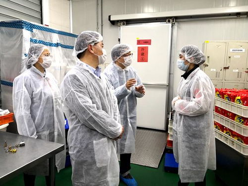 帶隊開展食品生產企業節前安全檢查