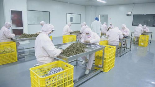 安徽16市齊聚阜陽,只為這件事