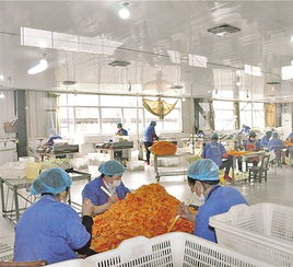 舌尖美食成富民產業