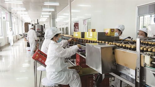 振興發展闖新路 看通化縣經濟高質量發展的生動實踐