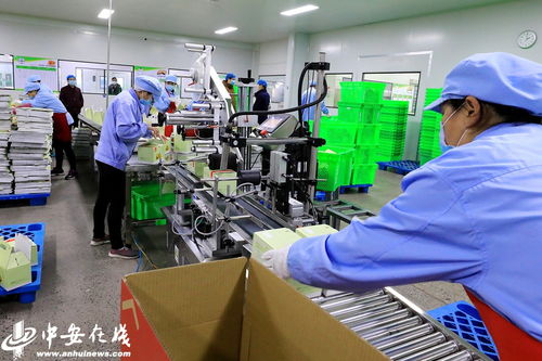 廬江 食品企業復工復產保供應