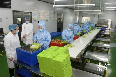 南方觀察|博羅啟動“鏈長制”,首發者為什么是食品產業?