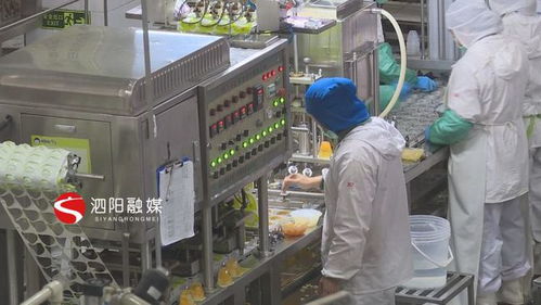 泗陽 企業忙生產趕訂單沖刺 開門紅