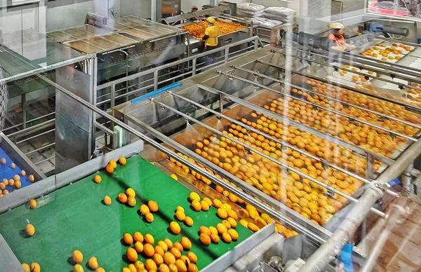 重慶:金融業多措并舉 助力食品及農產品加工產業高質量發展
