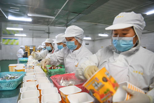 貴州麻江 食品企業創新發展促就業助增收