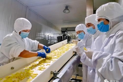 北辰這家企業生產的食品暢銷15個國家和地區