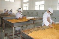 批發供應黃金松/原味肉松/辣松/雞肉松 各種口味 量大優惠包運費_東莞市南城港穎隆食品店