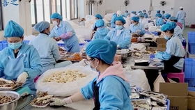食品廠設備表面消毒殺菌