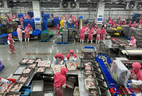 沉浸式體驗 陜農優品 產地環境